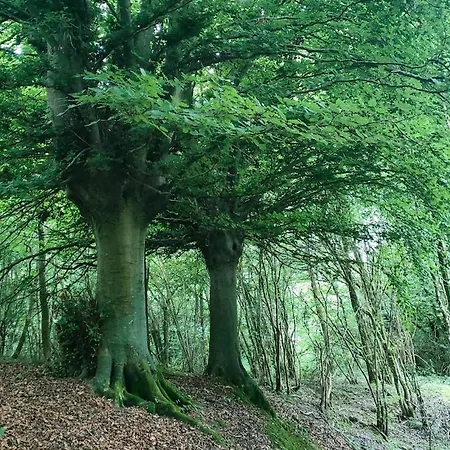 Etable De Charme Pour 2, Randonnees, Plages * Baincthun