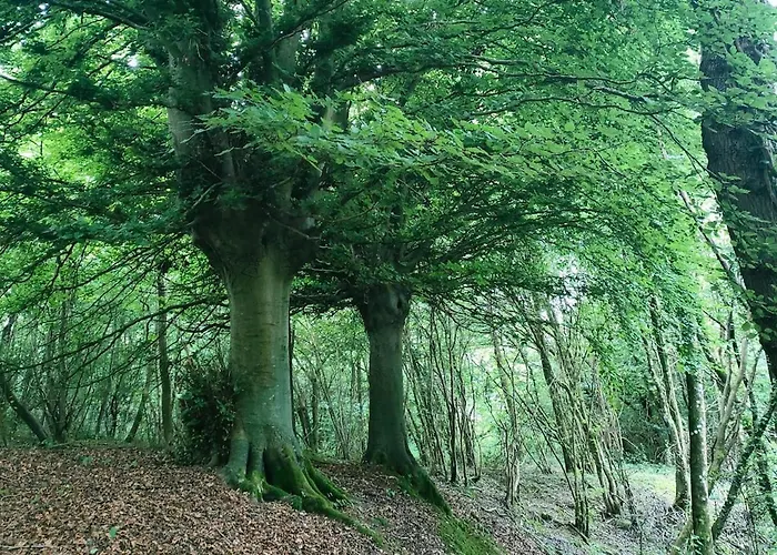 Etable De Charme Pour 2, Randonnees, Plages * Baincthun